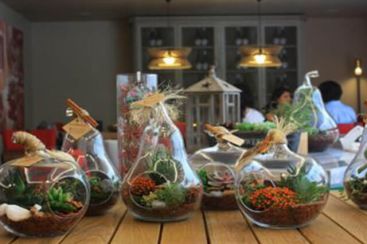 Terrarium Atelyesi (Master-Klass)
