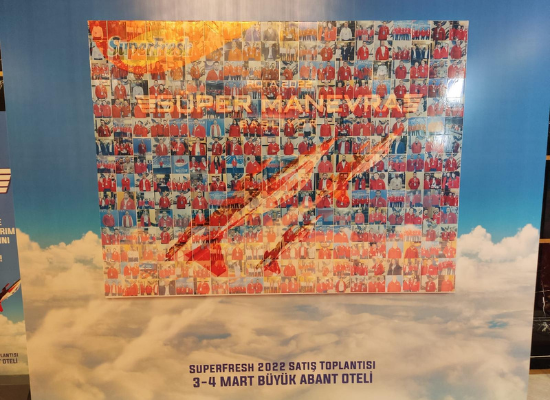 Mozaika Divarı